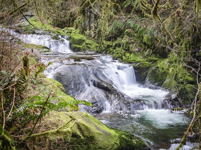 Sweet Creek Falls