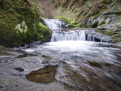 Sweet Creek Falls