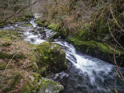 Sweet Creek Falls
