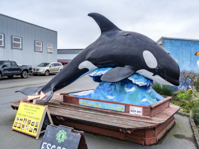 Orca - Killer Whale Statue