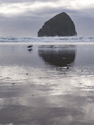 Cape Kiwanda