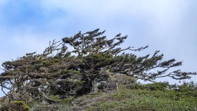 Cape Kiwanda