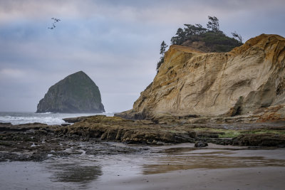 Cape Kiwanda