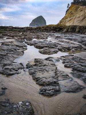 Cape Kiwanda