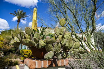 Old Town Scottsdale