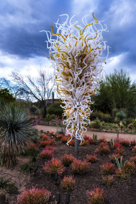 Desert Botanical Garden