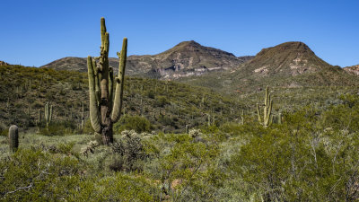 Jewel of the Creek Trail