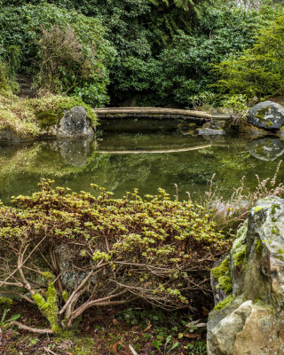 Kubota Garden
