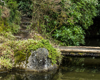 Kubota Garden