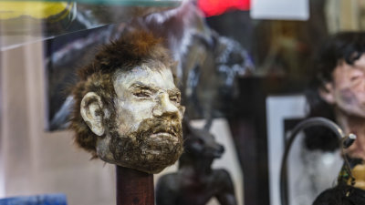 Big Top Curiosity Shop