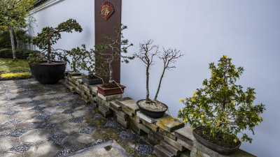 Seattle Chinese Garden