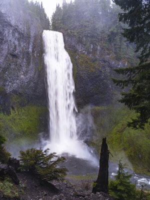 Salt Creek Falls