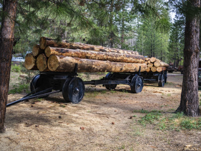 Collier Logging Museum