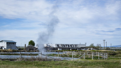 Old Perpetual: Man-Made Geyser