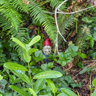 Valley of the Gnomes