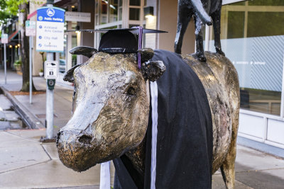 Cow & Coyote Dress-Up Statues