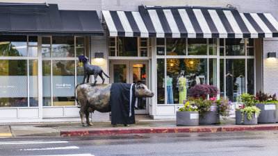 Cow & Coyote Dress-Up Statues