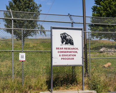 Grizzly Bear Research Center