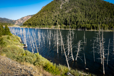 Montana