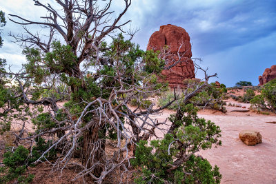 Arches National Park