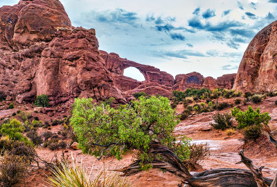 Arches National Park