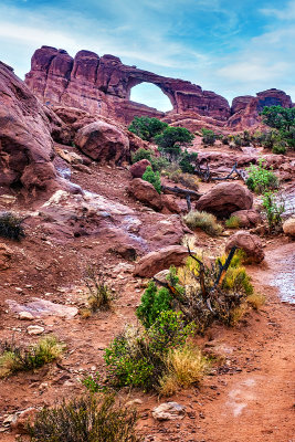 Arches National Park