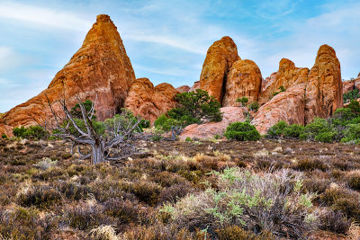 Arches National Park