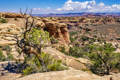 Canyonlands National Park - Needles District