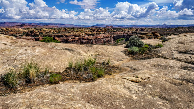 Canyonlands National Park - Needles District