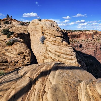 Canyonlands National Park - Island in the Sky District