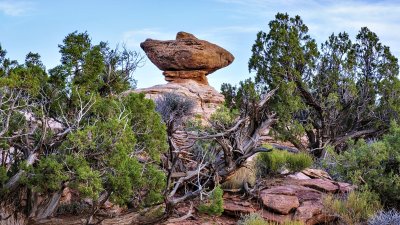 Canyonlands National Park - Island in the Sky District