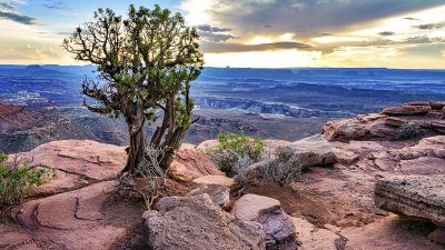 Canyonlands National Park - Island in the Sky District