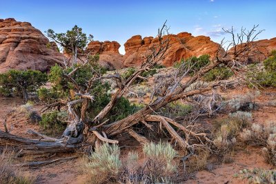 Arches National Park