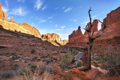 Arches National Park