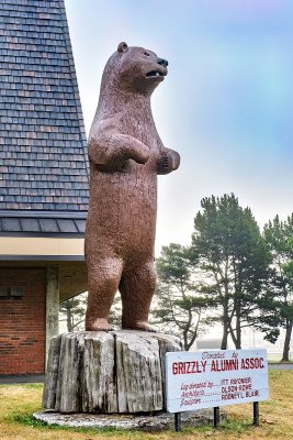 Grizzley Bear Statue