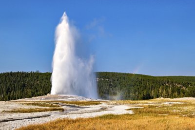 Yellowstone National Park