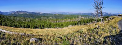 Yellowstone National Park