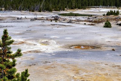 Yellowstone National Park