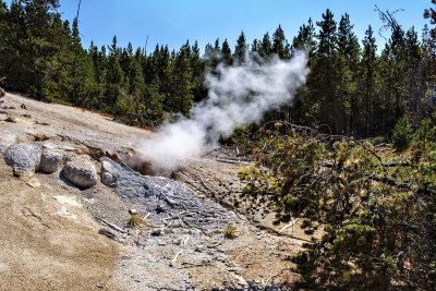 Yellowstone National Park