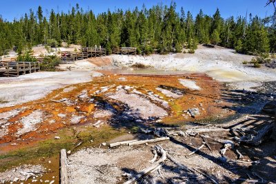 Yellowstone National Park