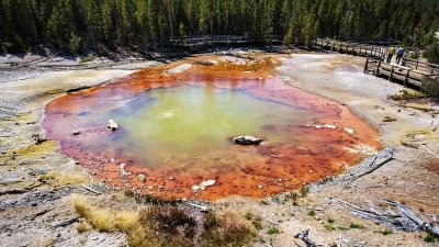 Yellowstone National Park