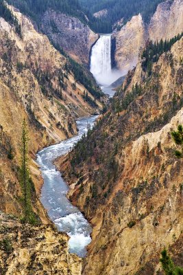 Yellowstone National Park