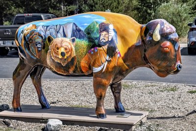 Grizzly & Wolf Discovery Center