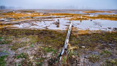 Yellowstone National Park