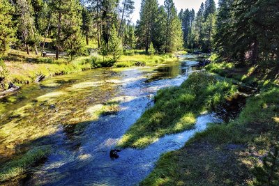 Yellowstone National Park