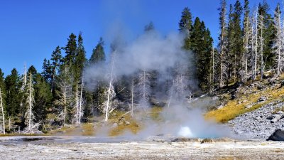 Yellowstone National Park