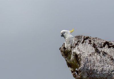 D7M_2019.jpg