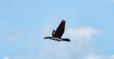 D7M_2194.jpg