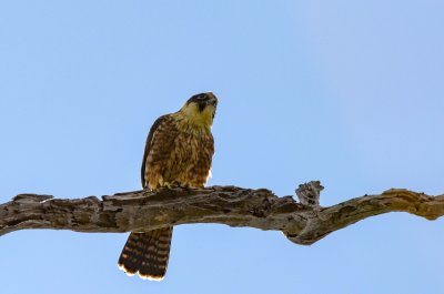 D7M_2288.jpg