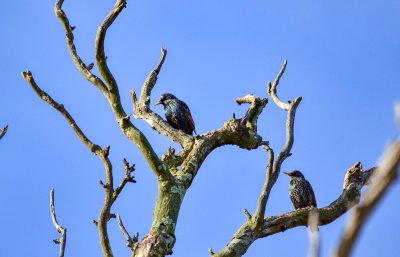 D7M_4858.jpg